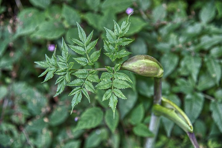 什么是产后骨盆痛,产后身痛和产后风湿的区别