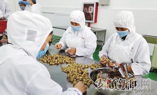 航天空间站里又闻安顺“牛来香”