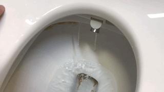 菊花清洗神器 (自制菊花清洗神器)