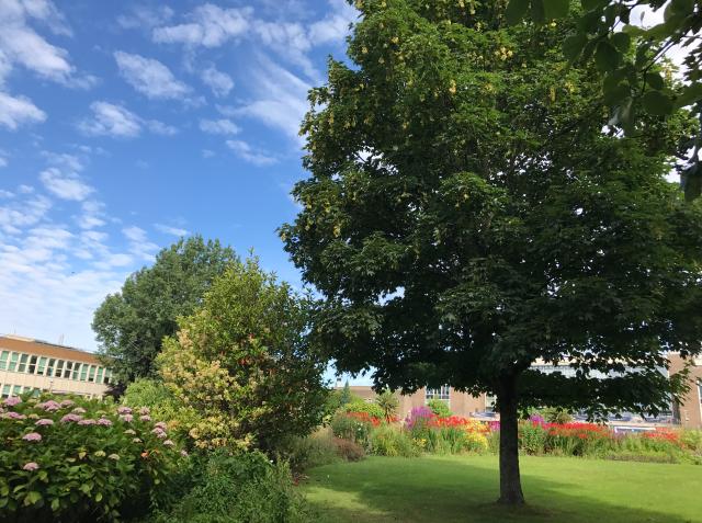 英国埃塞克斯大学留学排名,埃塞克斯大学英国排名