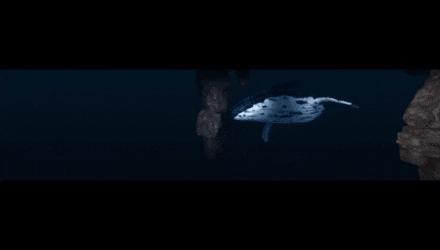 热门景点年卡,旅游年卡又一打卡景点