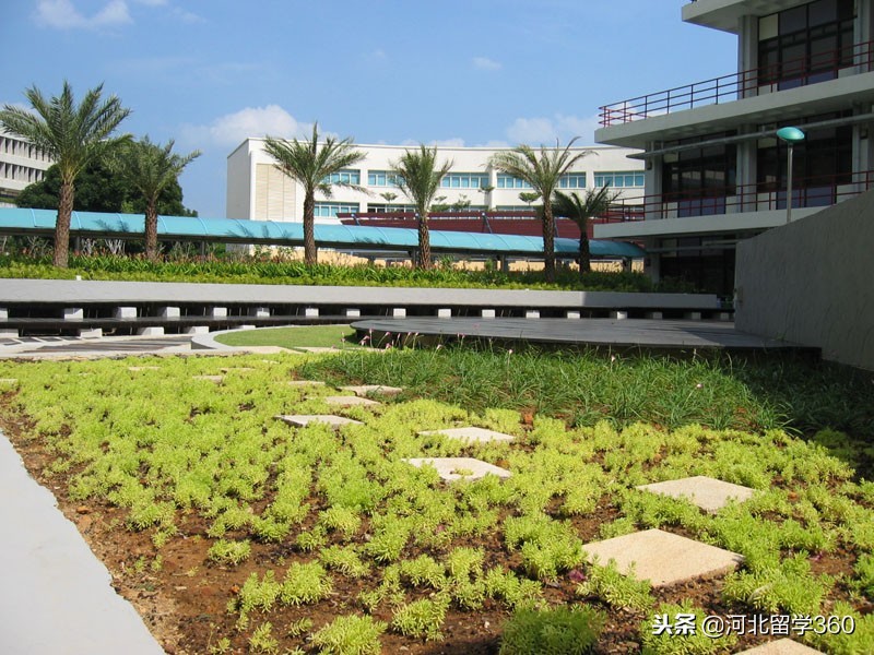 新加坡义安理工学院怎么样,你所不知道的新加坡冷门知识