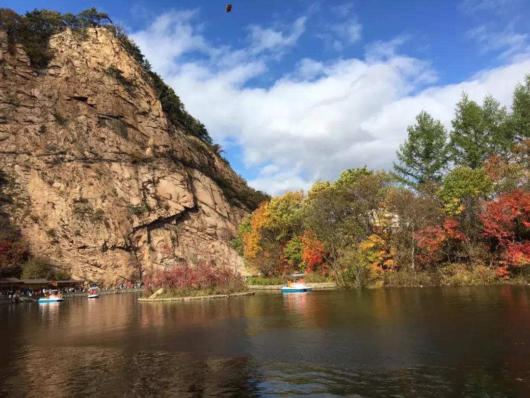 秋天来本溪赏枫叶,醉美枫叶季