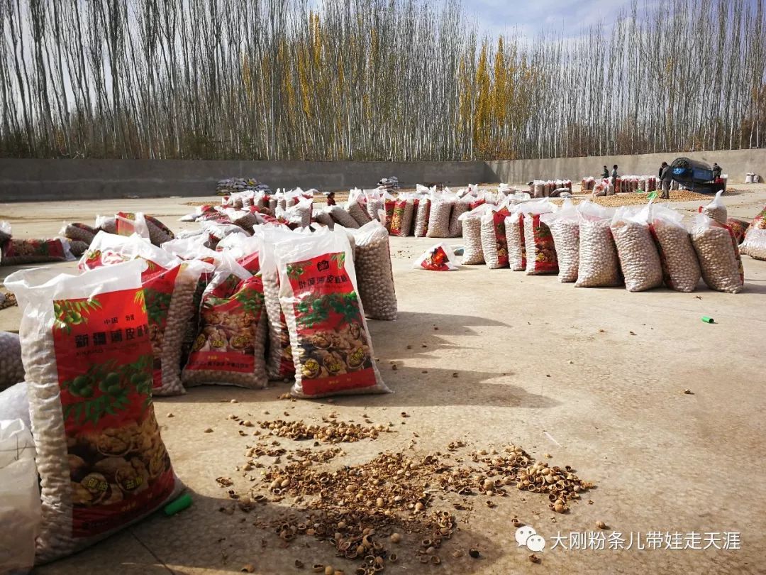 舌尖上的旅行带你领略旅行的美好,环游中国边界