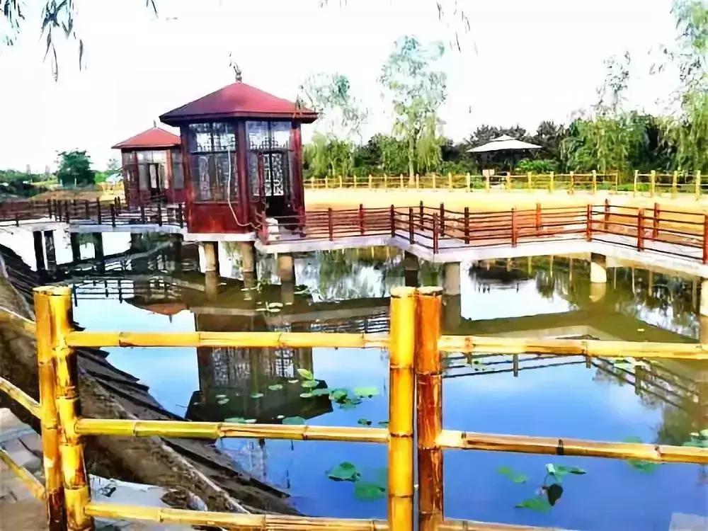 迎国庆，晋冀鲁年卡在手，说走就走，仙台山。巨龟苑、沕沕水免费