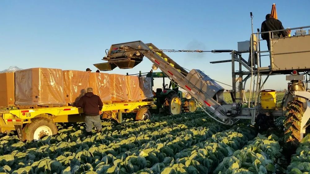 拖拉机排行2019,最好的拖拉机排行榜