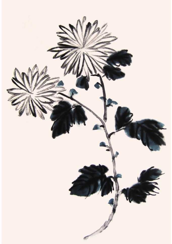 国画菊花的叶子画法步骤入门,梅兰竹菊国画菊花初学者怎么用笔