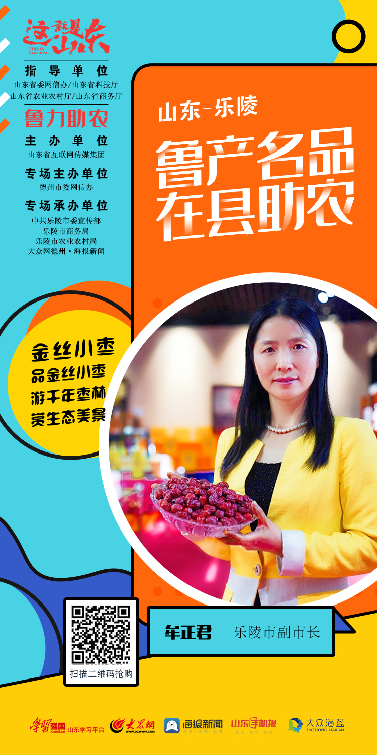 新枣山东特产乐陵金丝小枣1000g,乐陵正宗金丝小枣