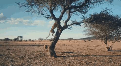 15岁怀孕的她，被骗吃下*药炸**，无辜去世：生而为人，有些人却不配