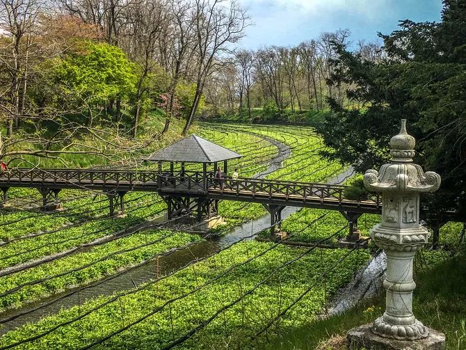 25亩荒地居然年游客竟然超过100万