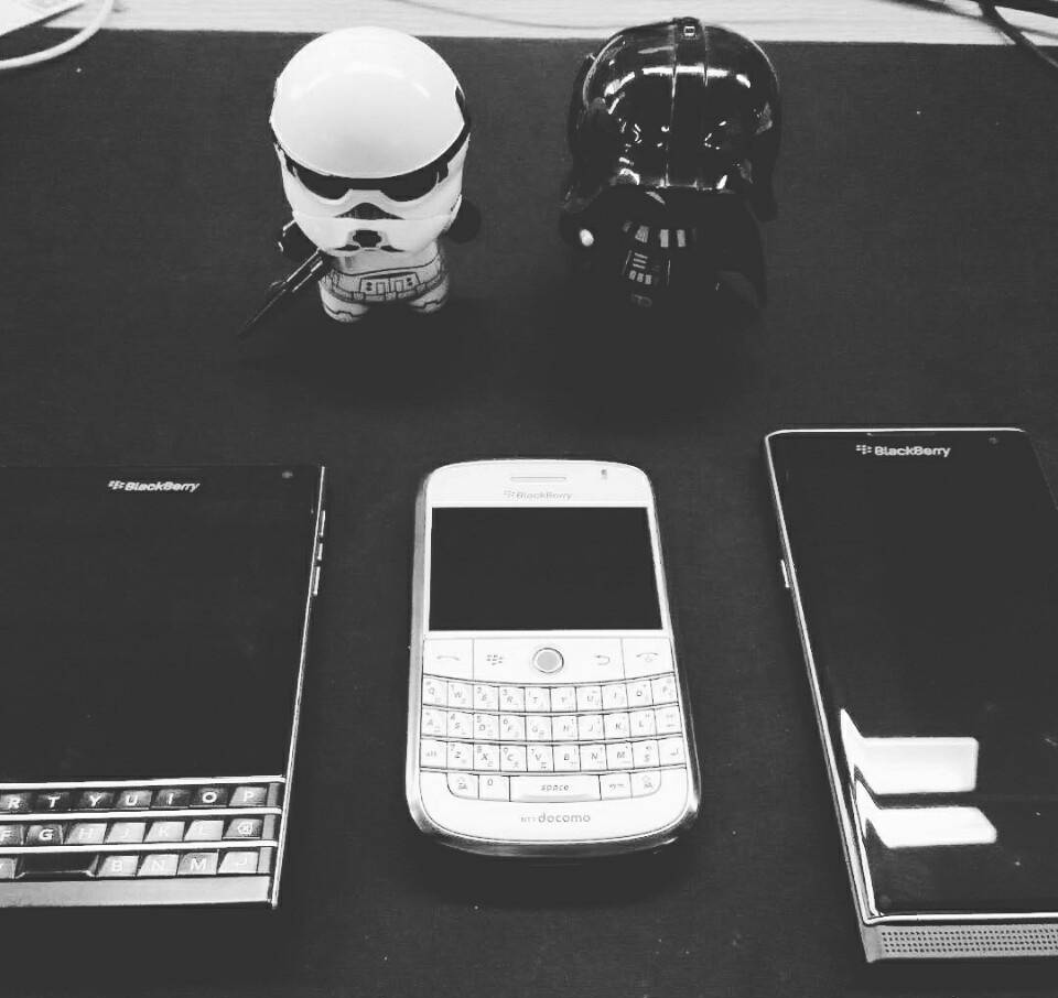 黑莓的一生,黑莓的一生简介