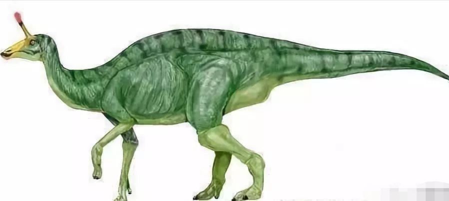 山东东部曾是恐龙乐园，这种恐龙个头如大象，鼻部长角如独角兽