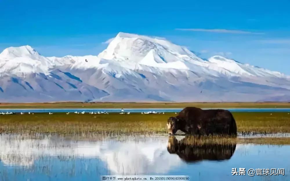 中国之最的城市你知道多少,中国之最你们都知道吗