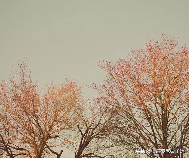 情感咨询|栗子姐每日情感问答(0619)