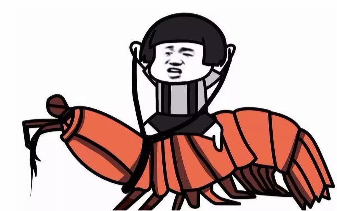 冷知识第二季结局,冷知识第二季完整