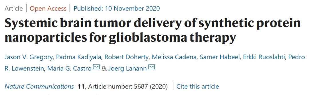 恶性脑肿瘤没扩散能治愈吗,脑肿瘤有自己消失的吗