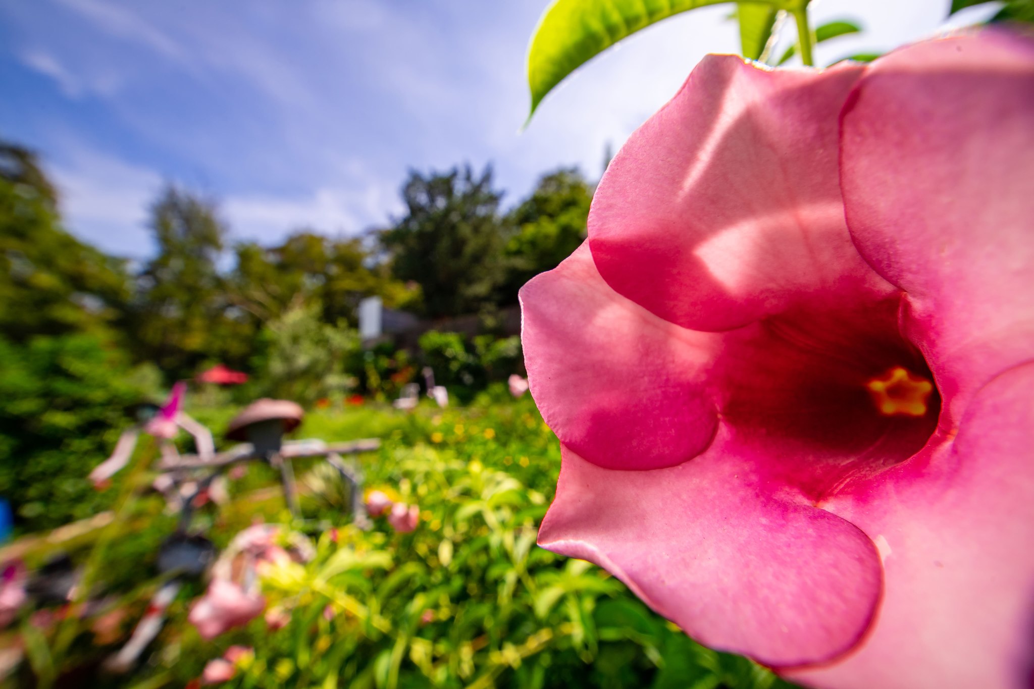 老蛙超广角推荐,老蛙9mm超广角2.8拍视频