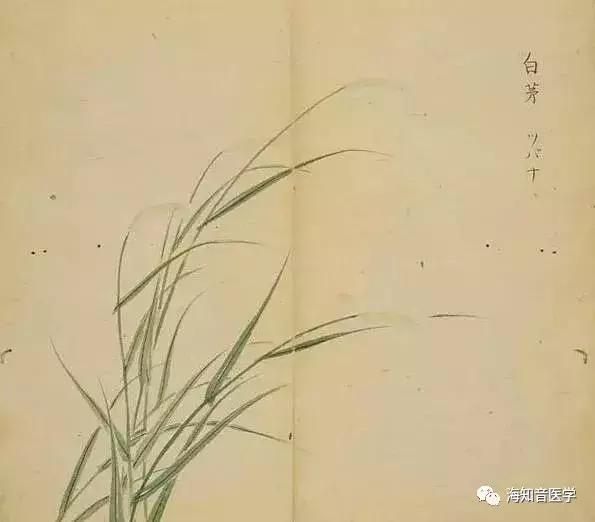 南有乔木不可休思的对偶句,南有乔木不可休思的思是什么意思