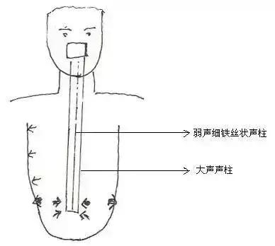 歌唱家颤音技巧和发声方法,唱歌技巧唱不出高音怎么练
