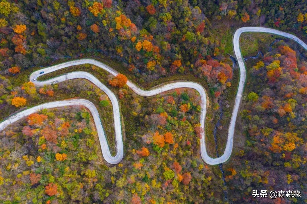 秦岭赏秋怎么玩才好玩呢,大秦岭山旅游攻略