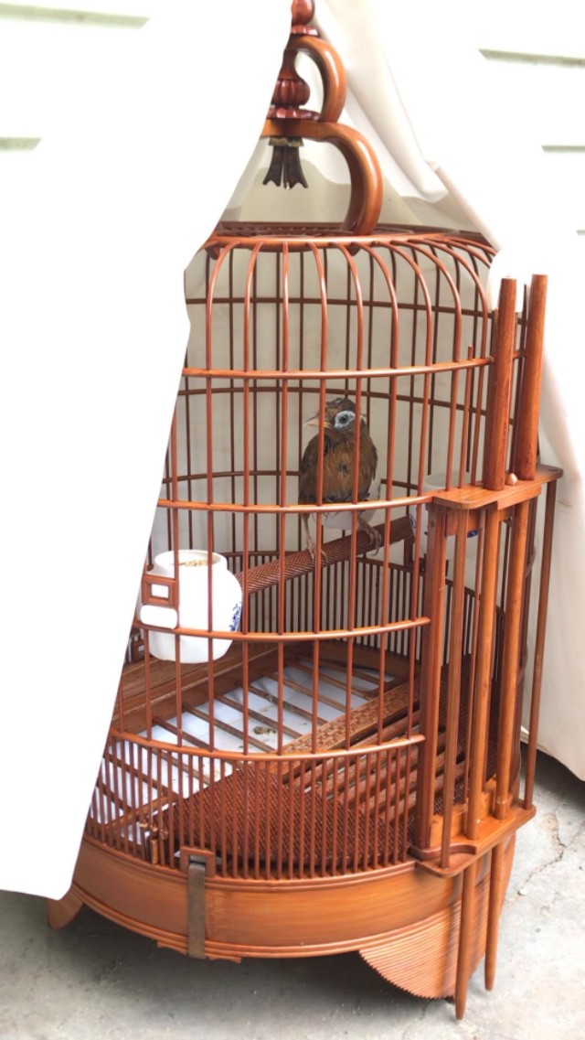 笼布的小技巧,笼布怎么使用不粘馒头