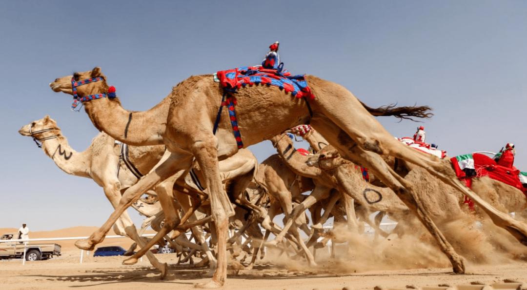 迪拜阿布扎比是哪个国家,阿布扎比和迪拜谁更值得去