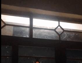 南方暴雨过后的水蚁有多可怕,暴雨后大水蚁怎么处理