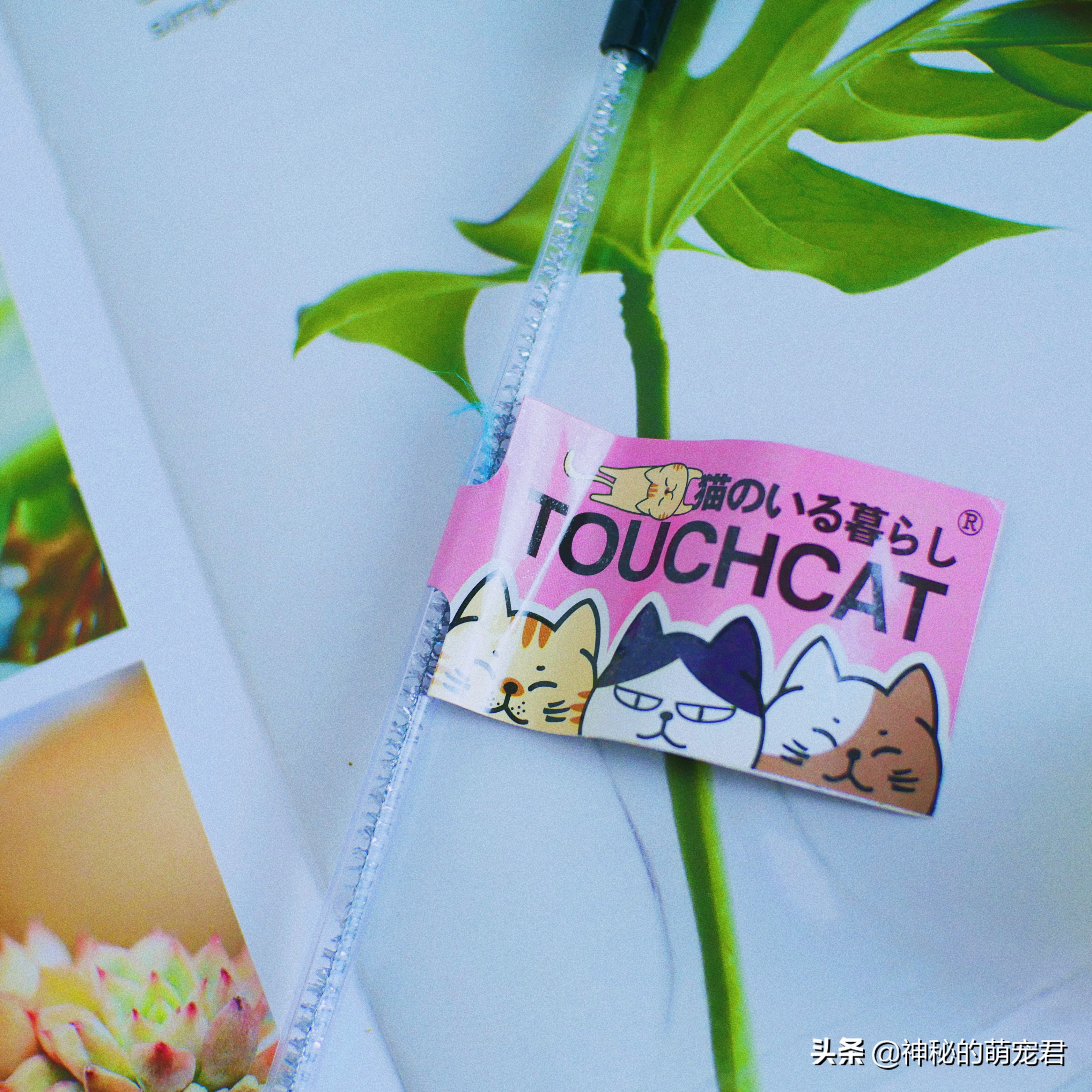 什么逗猫棒猫咪会玩,怎么做猫咪玩的逗猫棒