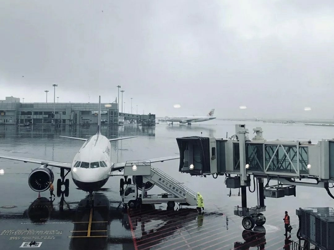 能打动人心的“婚庆公司”——棱镜乐队