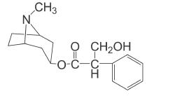 背它！考前必看82个易错考点