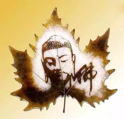 一叶一菩提高清图片,最漂亮的一叶一菩提