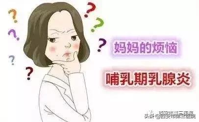 哺乳期乳腺炎的病因及治疗,专家说哺乳期如何防治急性乳腺炎