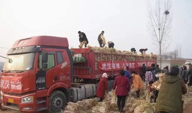 肺炎疫情如何走出恐惧 (肺炎疫情过后你们有什么打算)