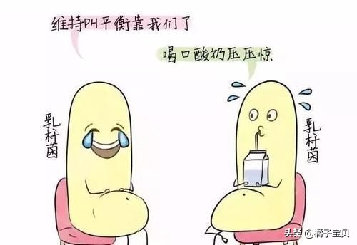 阴道益生菌与宫颈HPV感染