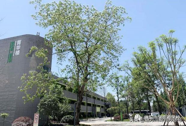 九月执梦，相约未来|绵阳中学实验学校简介