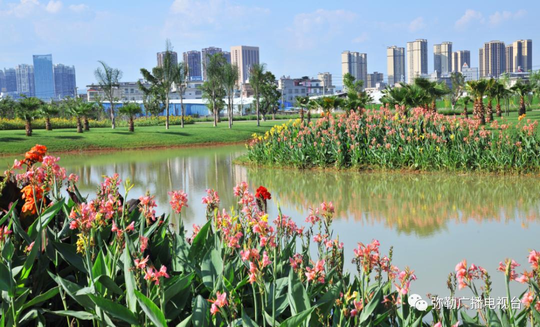 弥勒市为何发展这么快,弥勒怎么了