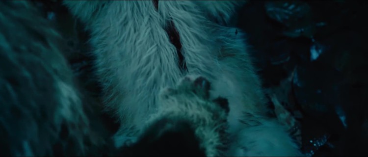 怒晴湘西探险之路,怒晴湘西画面色调像电影