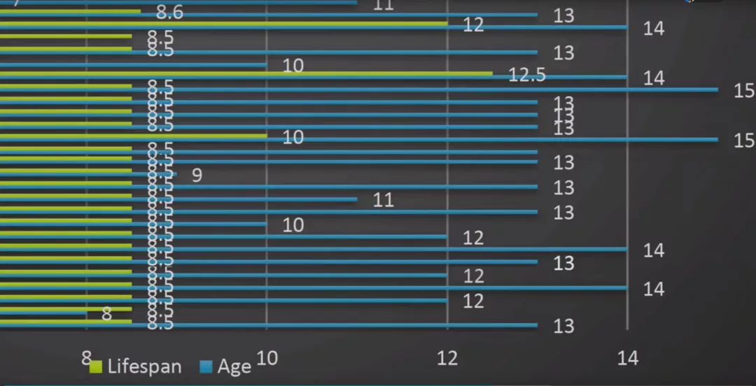 瀹犵墿鍐诲共鍏ㄥ妗舵斁鑲夌殑杩囩▼,瀹犵墿闀垮绉樼睄