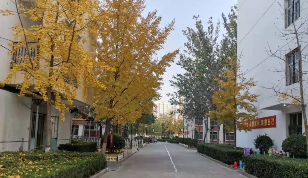 衡水十四中的环境,衡水十四中这两年发展的怎么样