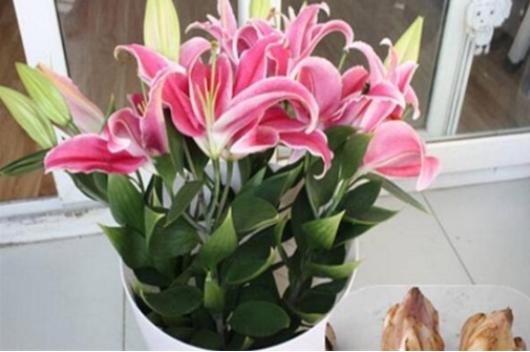 今生有约同心印爱海新花并蒂开—管浩男、曹丛新婚诗词23首