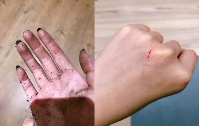 张馨予敷面膜徒手摘花，不惧被吐槽作秀，分享生活感悟满满正能量