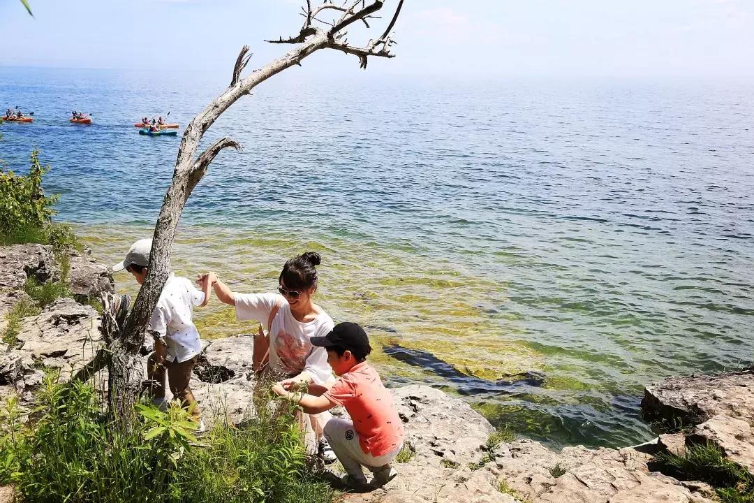 芝加哥南部旅游攻略图文,芝加哥附近旅游