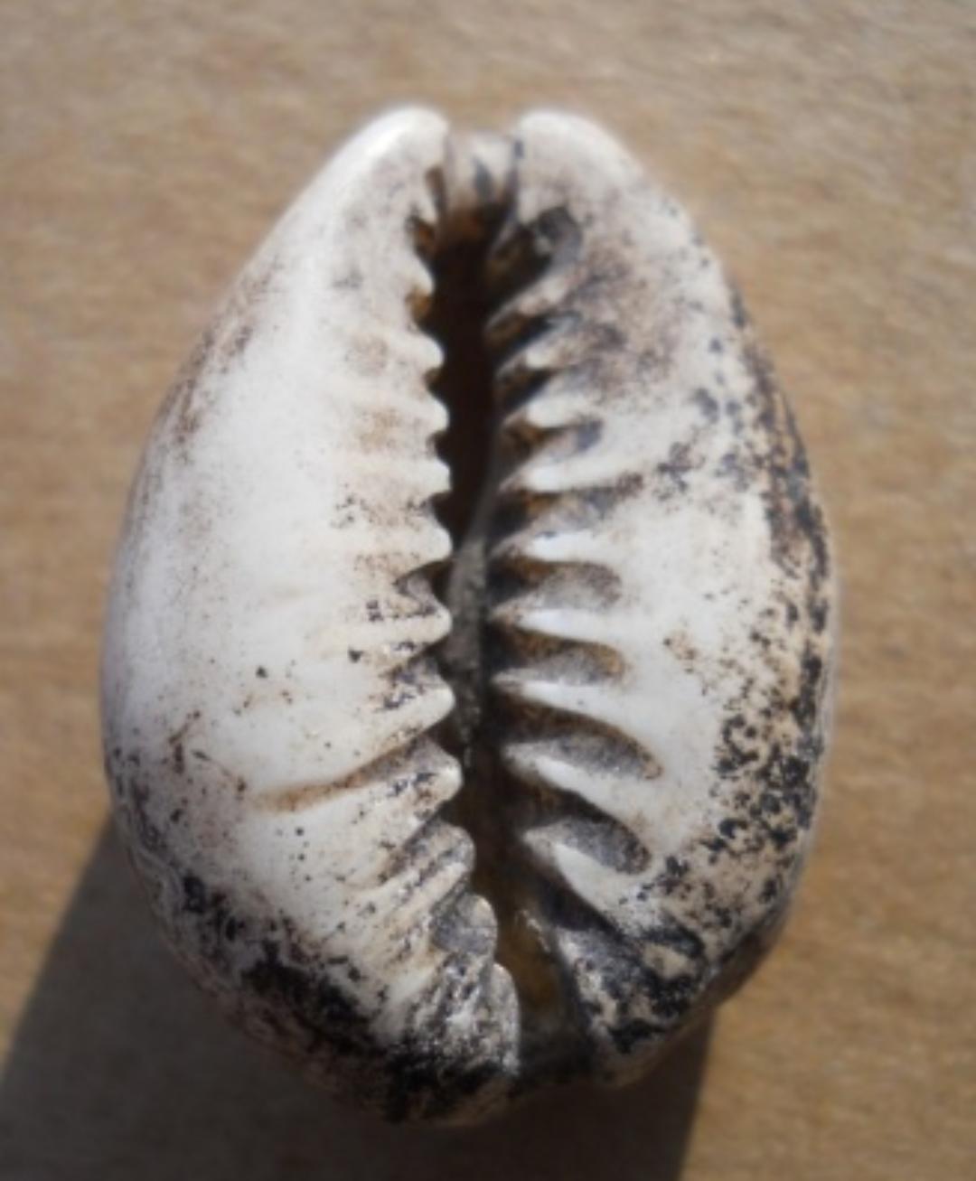 谈钱币知识,论钱币