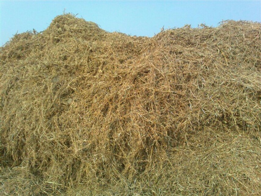 豆腐渣如何喂羊,豆腐渣到底可不可以喂羊