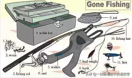 17张词汇图让英语融入生活,英语生活用词