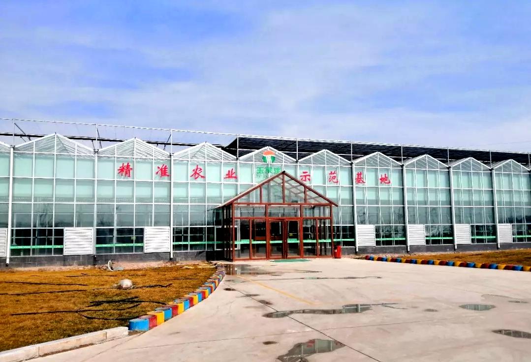 潍坊的乡村振兴发展成果,潍坊乡村振兴典型案例分析