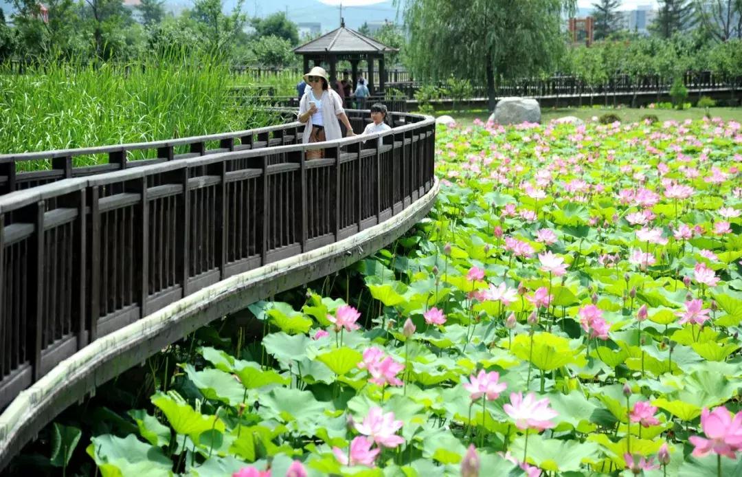 威海游览,威海玩美攻略潮玩街区