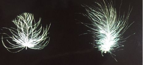 鸭羽绒好还是鹅绒衣服好,鸭毛绒和鹅绒的区别