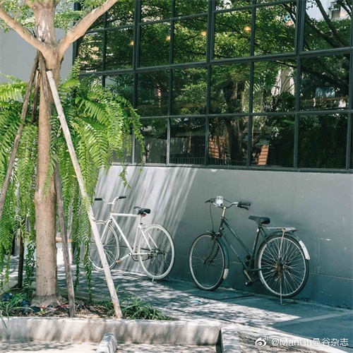 全曼谷最好喝的手冲咖啡都在这里了