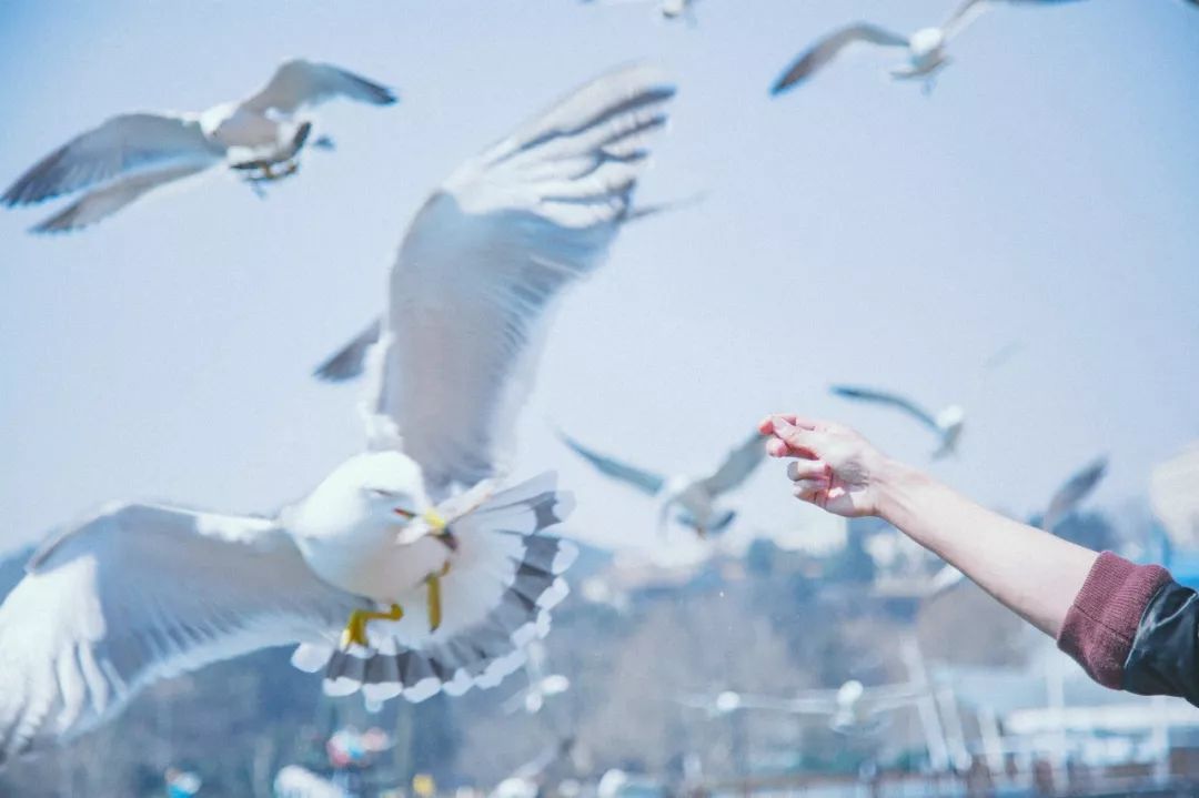 想去大连了,还有人想去大连吗